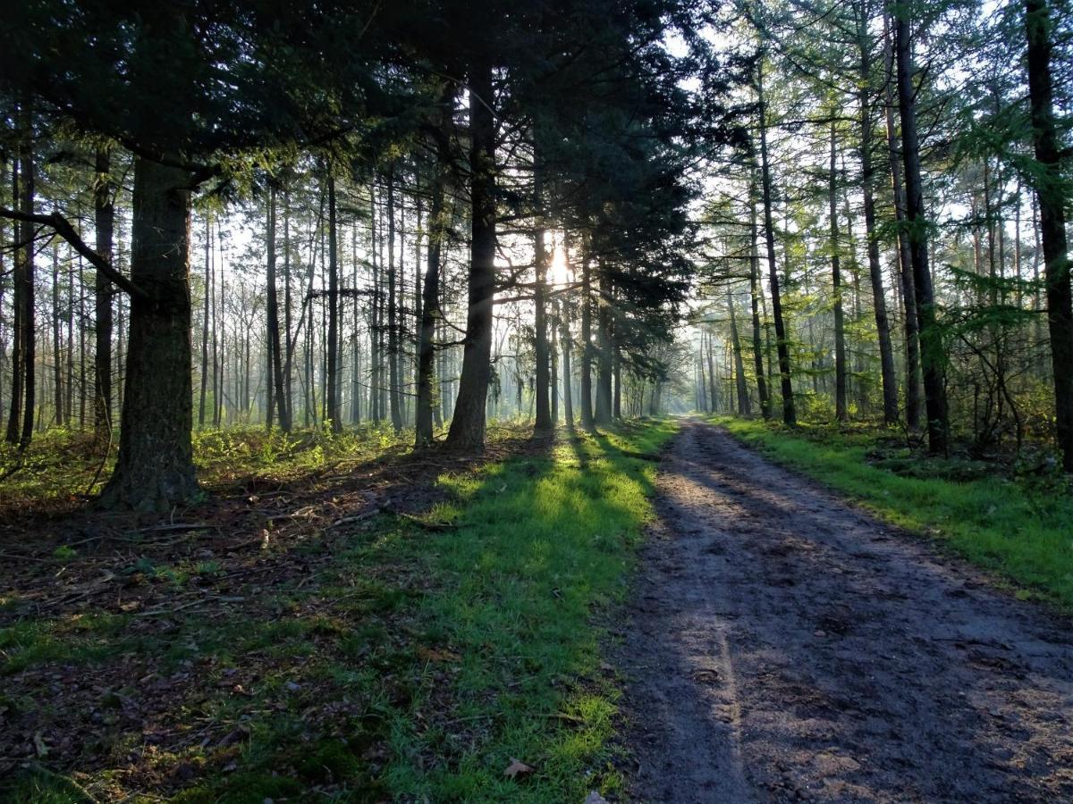 Veluwe Park Reewold Chalet Infinity بوتِنْ المظهر الخارجي الصورة