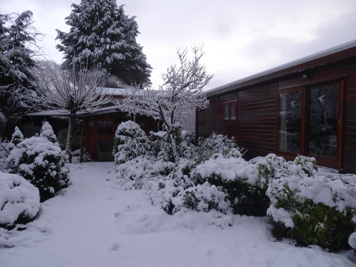 Veluwe Park Reewold Chalet Infinity بوتِنْ المظهر الخارجي الصورة